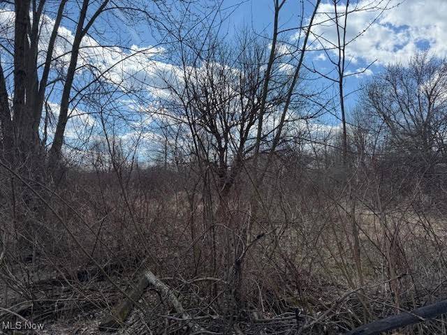 New Franklin, OH 44319,V/L W Nimisila RD