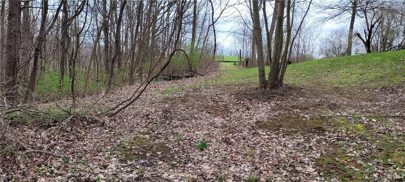 Newcomerstown, OH 43832,75294 Bethel RD