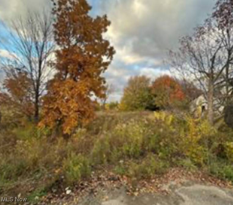 New Middletown, OH 44442,Sandy CT