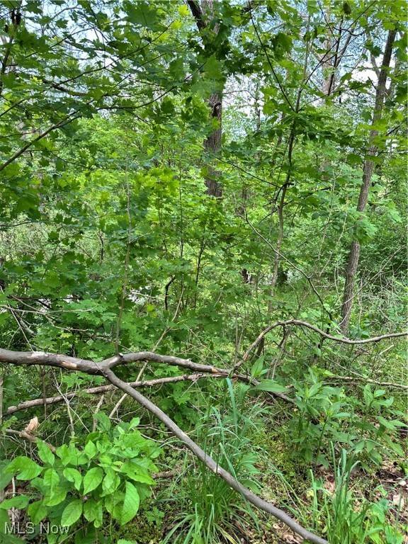 Mount Perry, OH 43760,14568 Mt Perry RD