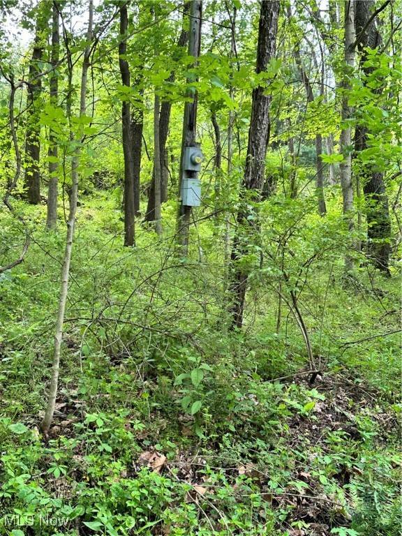 Mount Perry, OH 43760,14568 Mt Perry RD