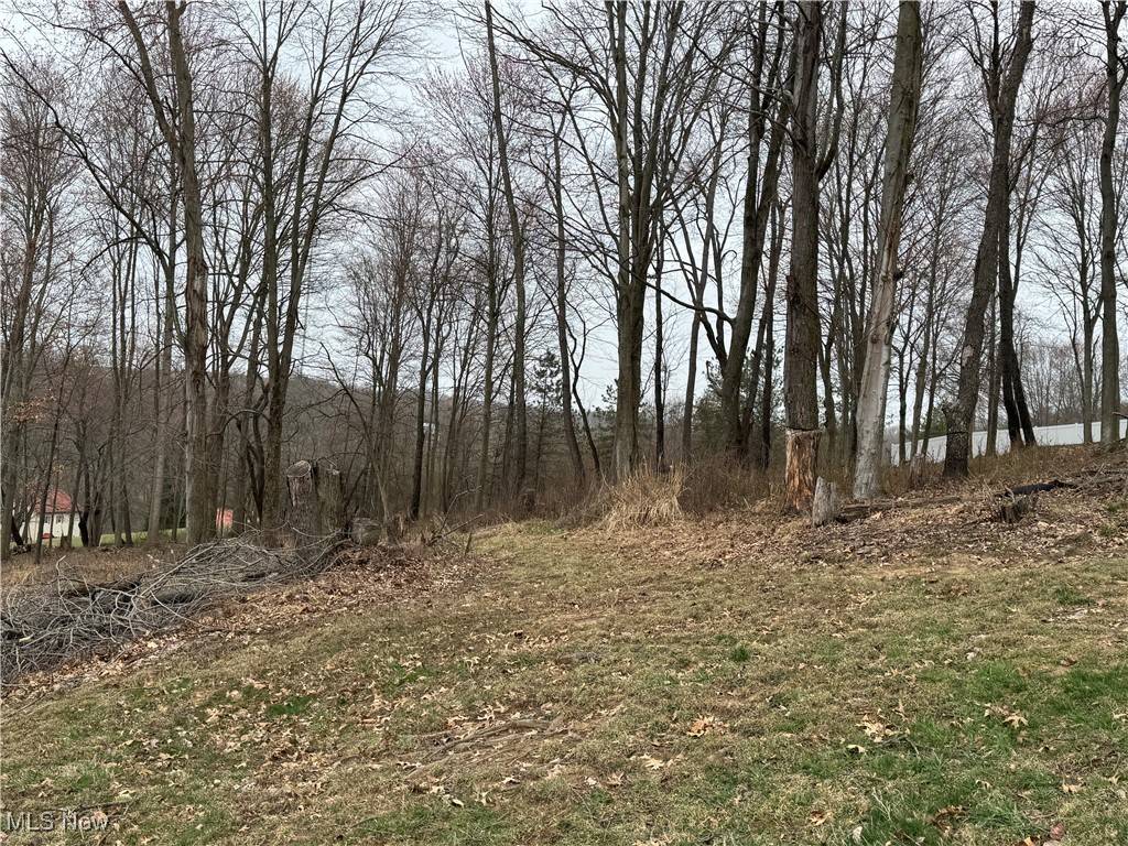 Dover, OH 44622,Wood Haven DR NW