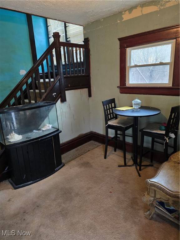 Akron, OH 44310,38 Royal PL