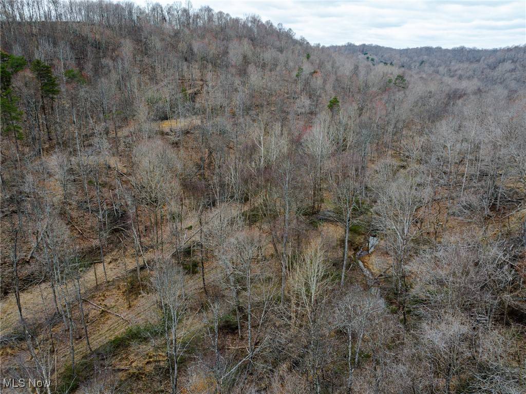 Wheelersburg, OH 45694,V/L Haney RD