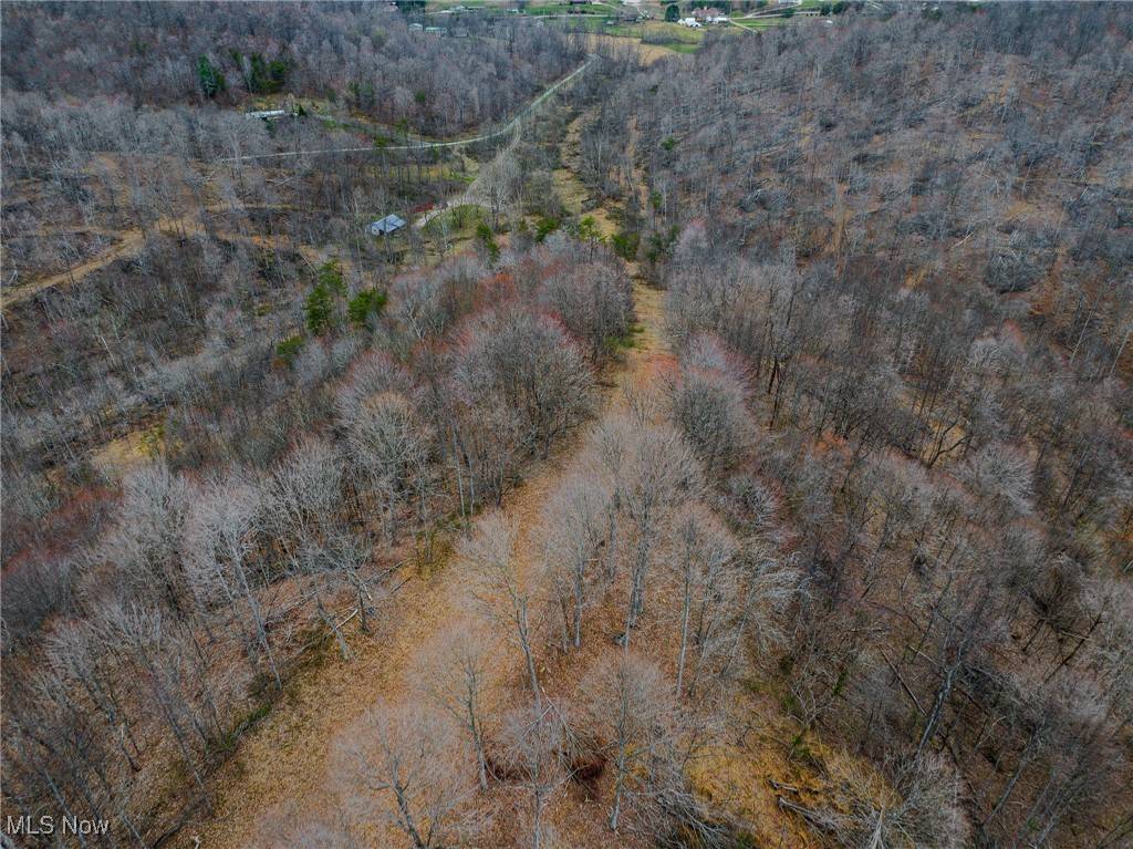 Wheelersburg, OH 45694,V/L Lick Run Lyra RD