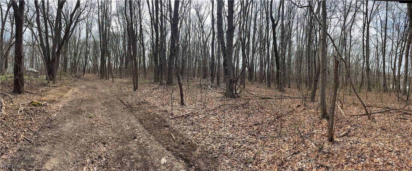 Ravenna, OH 44266,John Thomas RD