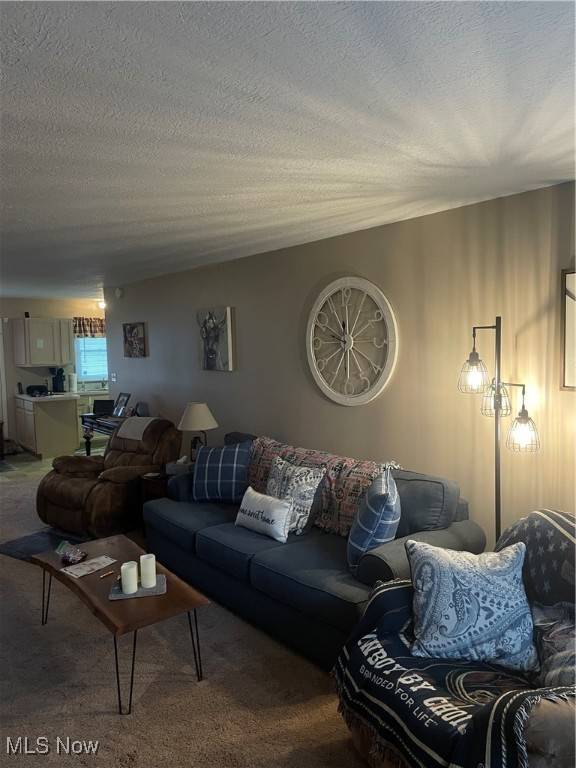 Tallmadge, OH 44278,540-542 Pheasant RUN