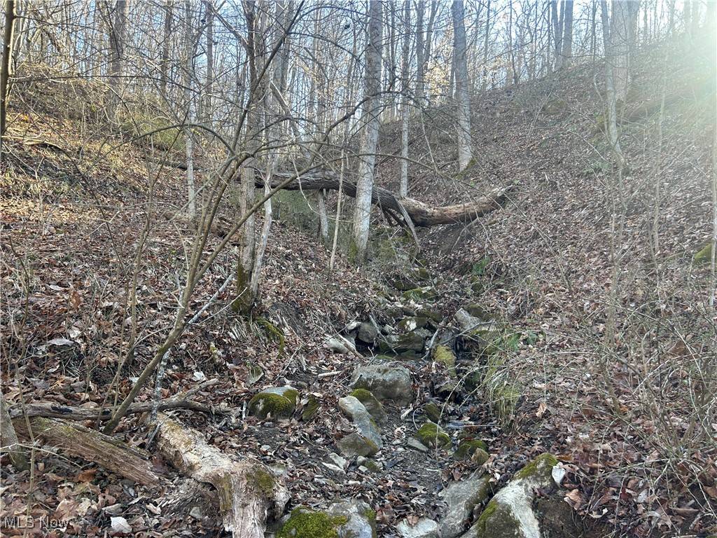 Beverly, OH 43787,Creek RD