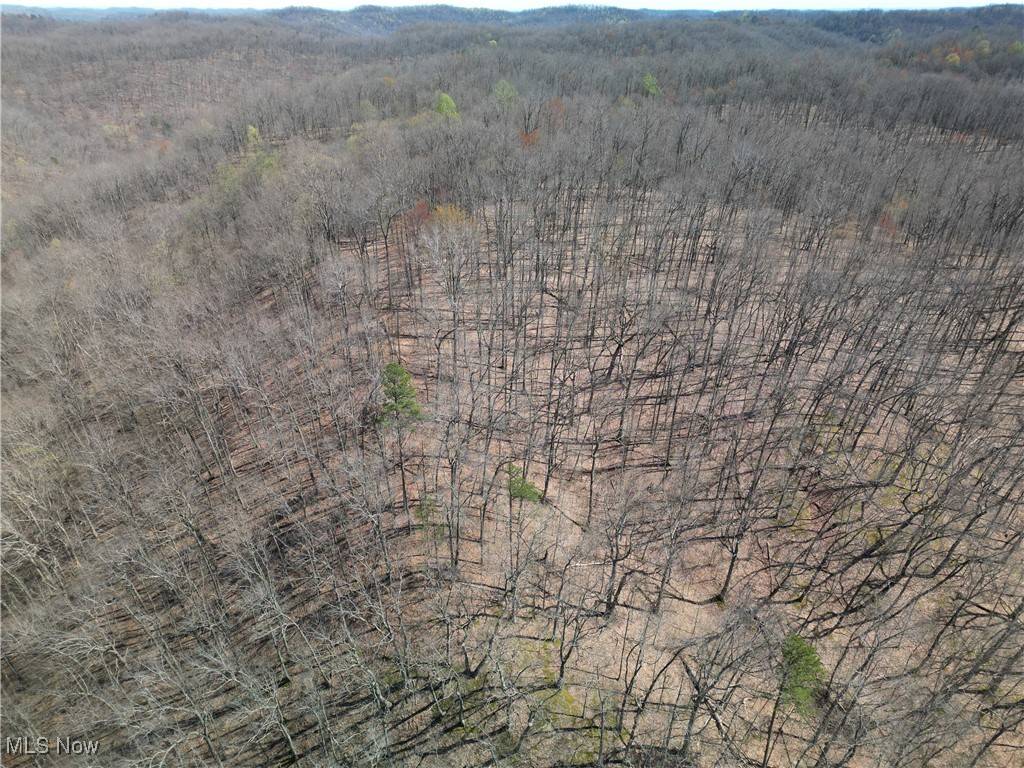 Arnoldsburg, WV 25234,Rush Run RD