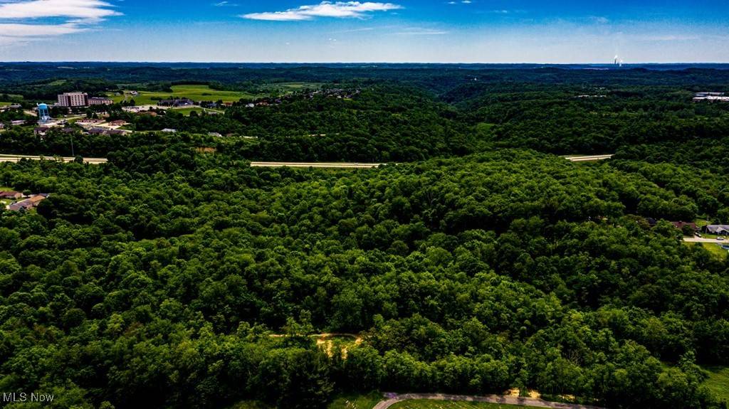Weirton, WV 26062,Surrounding Rose Garden