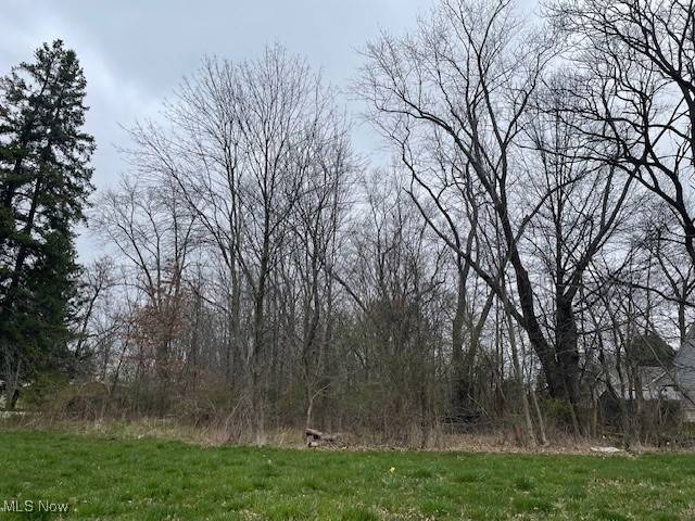 Tallmadge, OH 44278,Lot 84 Southeast AVE