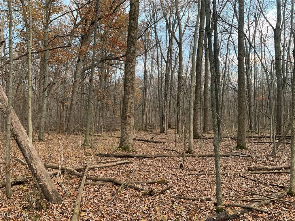Sheffield Village, OH 44054,Sterling RD