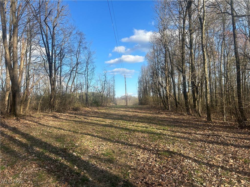 Walhonding, OH 43843,Mckee RD