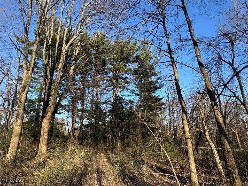 Chardon, OH 44024,10444 Mulberry RD