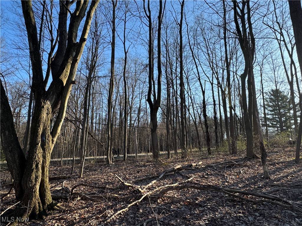 Chardon, OH 44024,10444 Mulberry RD