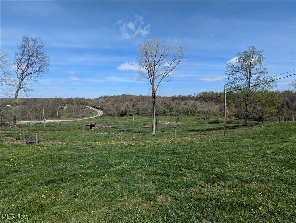Barnesville, OH 43713,67739 Hendrysburg Freeport RD