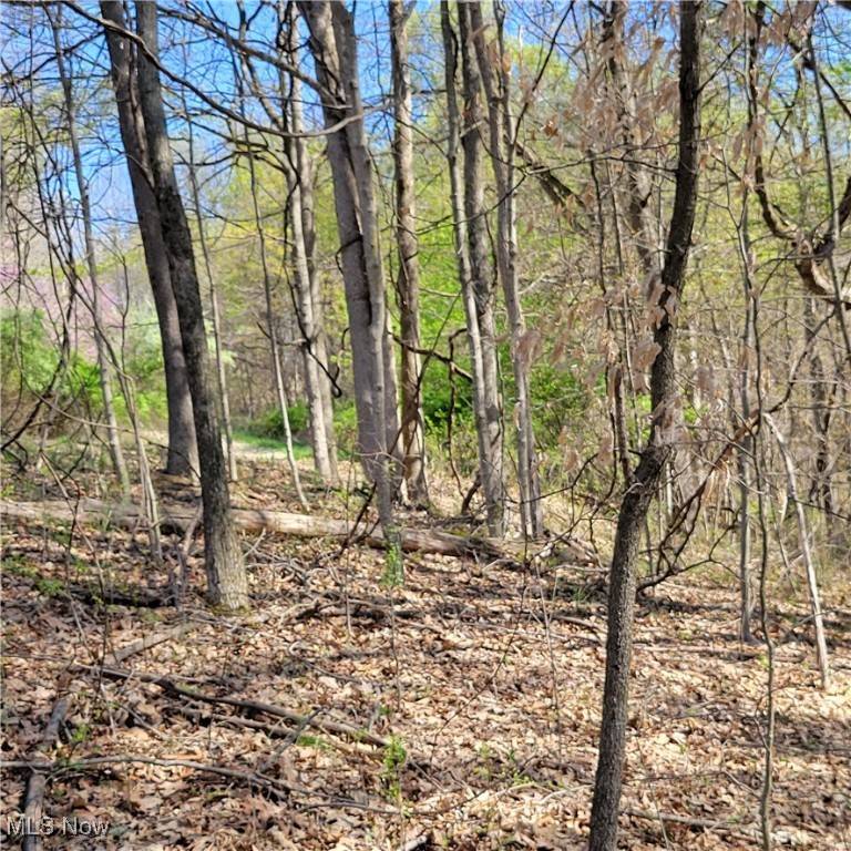 Senecaville, OH 43780,54780 Opossum Run RD #17,259,260