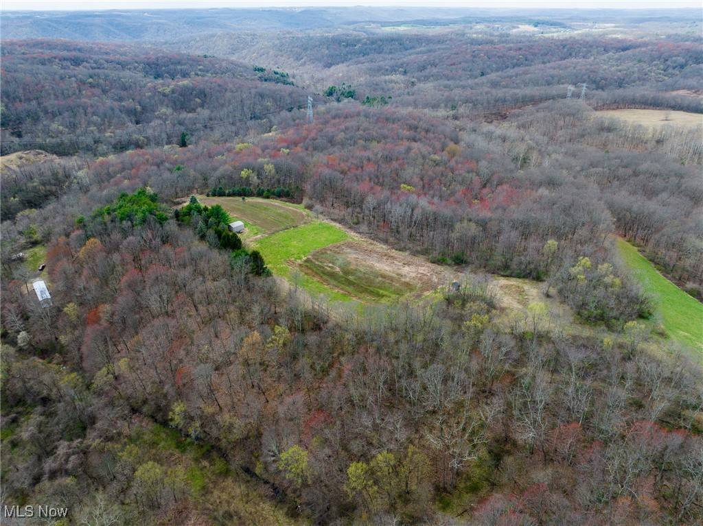 Wellsville, OH 43968,Oak Ridge RD