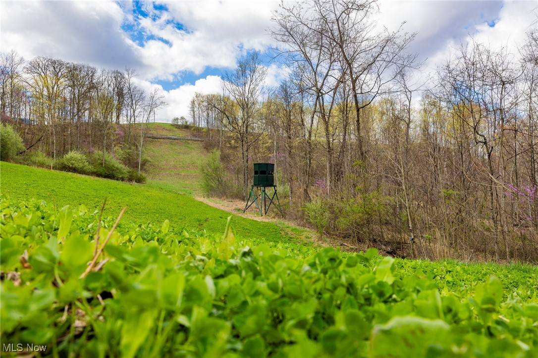 Dexter City, OH 45727,Ogles Ridge RD