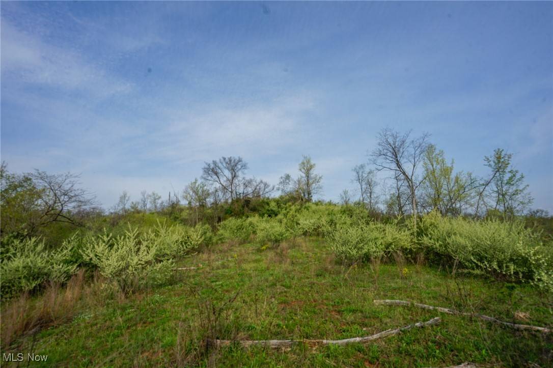 Cheshire, OH 45620,1526 Storys Run RD