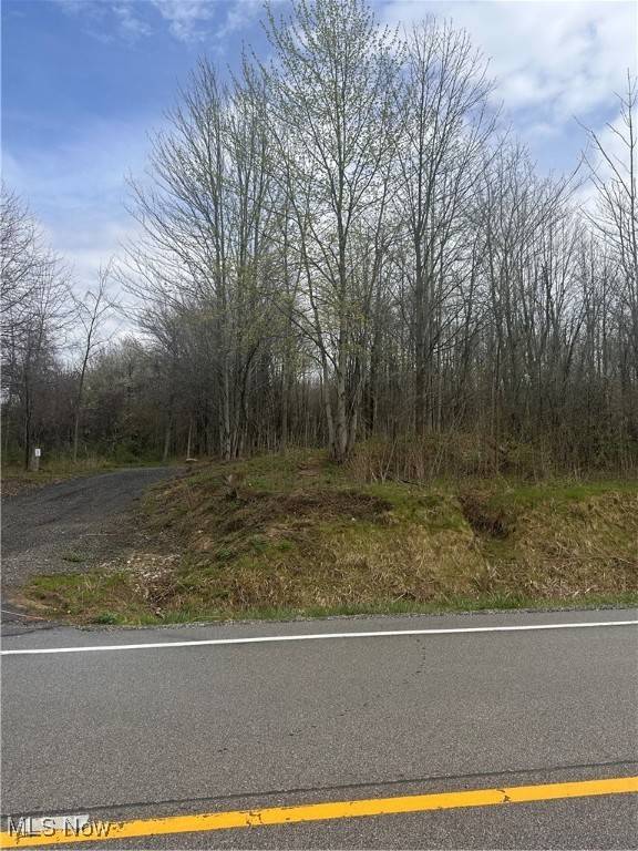 Thompson, OH 44086,Clay ST