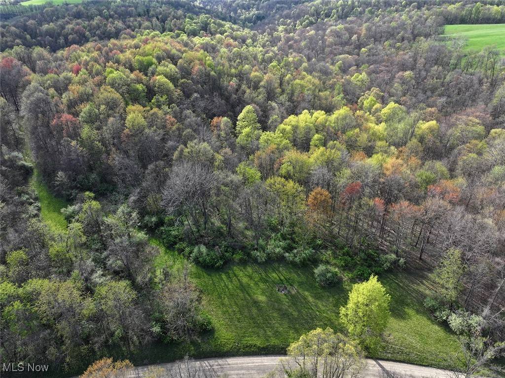 Jerusalem, OH 43747,Brushy Hill RD