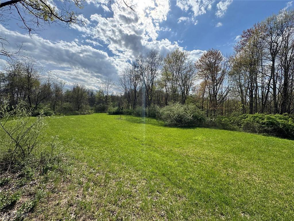 Jerusalem, OH 43747,Brushy Hill RD