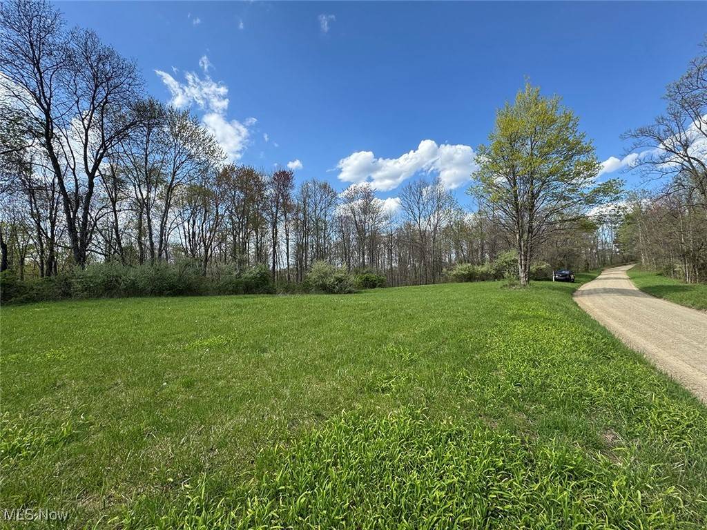 Jerusalem, OH 43747,Brushy Hill RD
