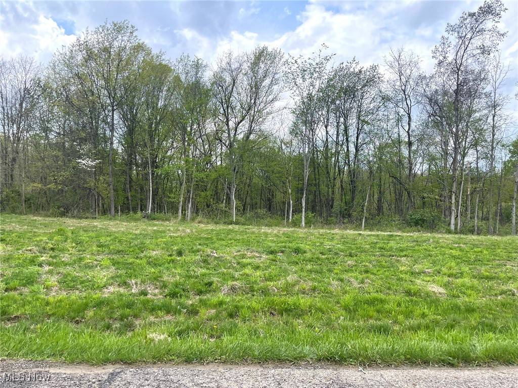 Massillon, OH 44646,Lot#16 Candell ST SE