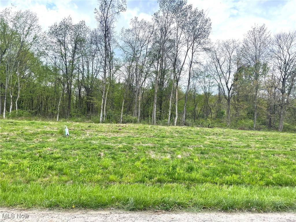 Massillon, OH 44646,Lot#15 Candell ST SE