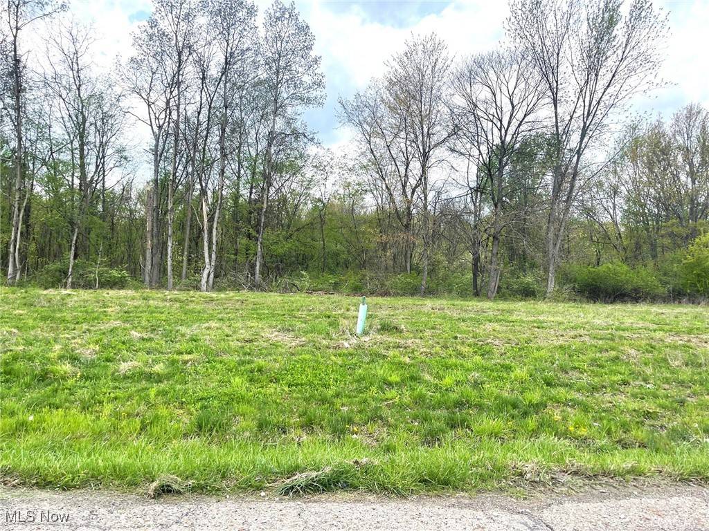 Massillon, OH 44646,Lot# 14 Candell ST SE