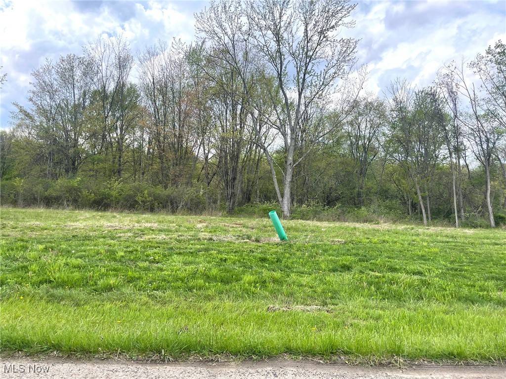 Massillon, OH 44646,Lot# 12 Candell ST SE