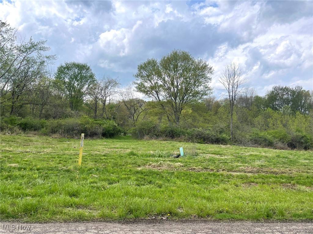 Massillon, OH 44646,Lot# 8 Candell ST SE