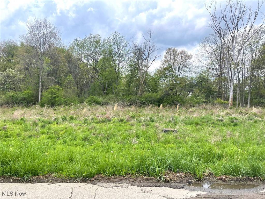 Massillon, OH 44646,Lot# 3 Candell ST SE