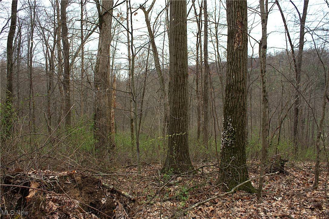 Newcomerstown, OH 43832,Little Buckhorn RD