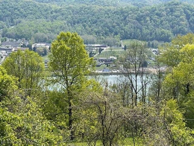 Clarington, OH 43915,Country Boulevard