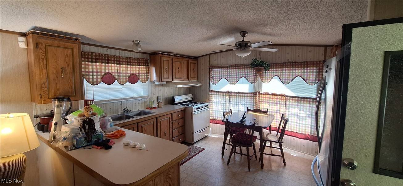 Cleveland, OH 44144,8378 Russell LN