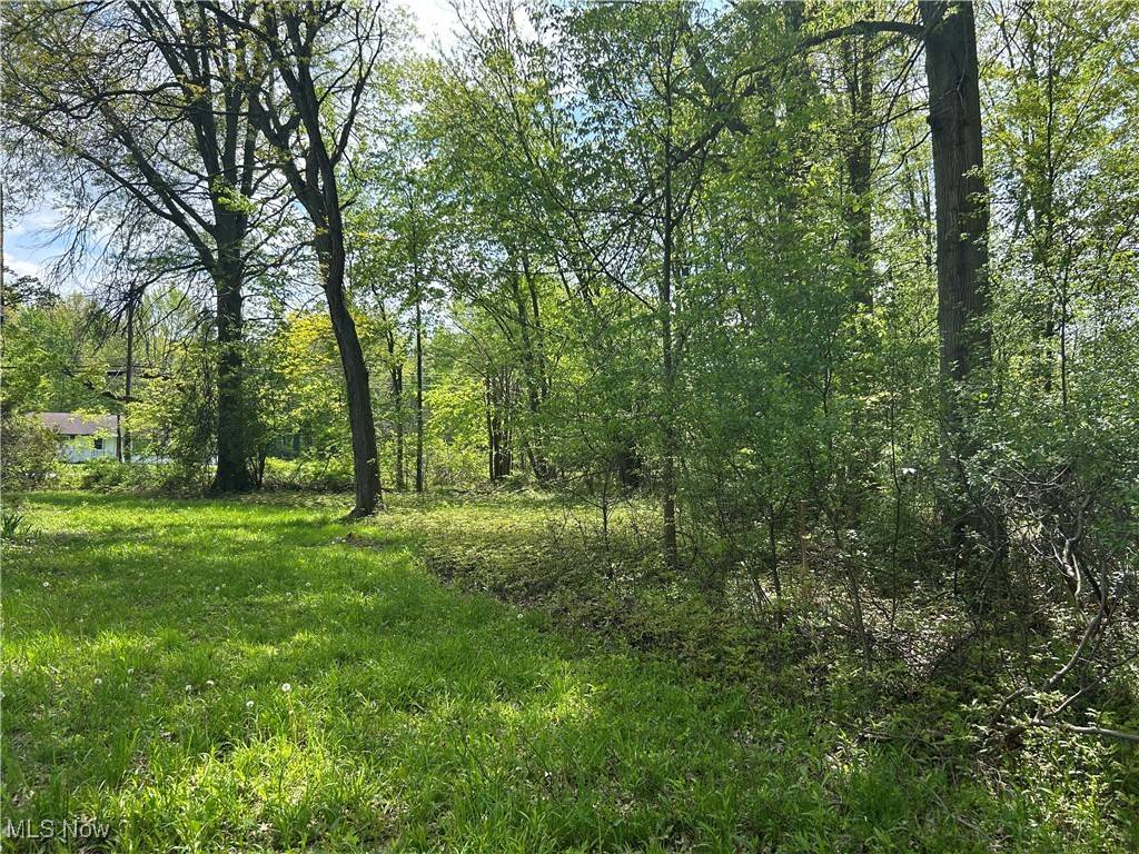 Olmsted Township, OH 44138,27272 Sprague RD