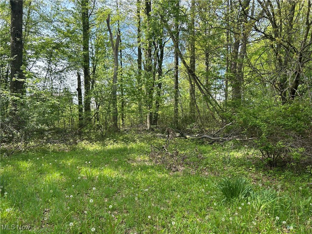 Olmsted Township, OH 44138,27272 Sprague RD