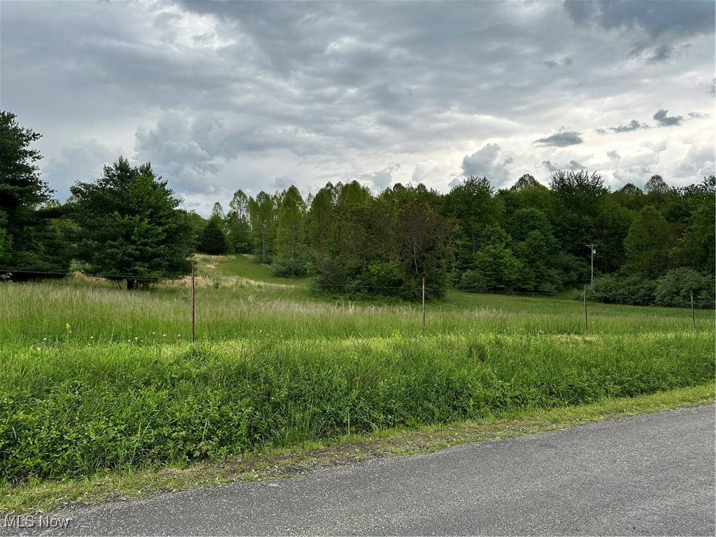 Vincent, OH 45784,0 Layman RD