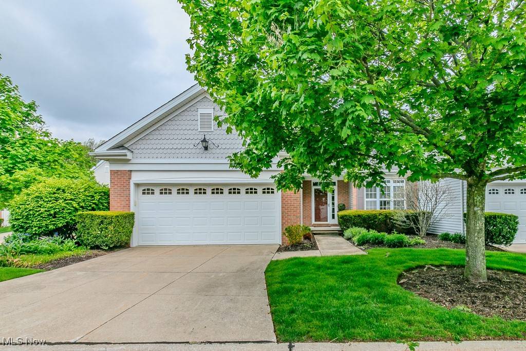 Mayfield Heights, OH 44124,181 Rosebury CT
