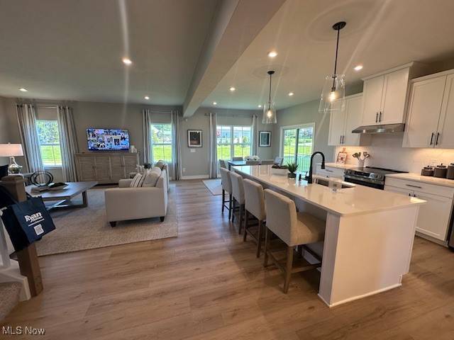 Canton, OH 44721,1376 Gate House ST NE