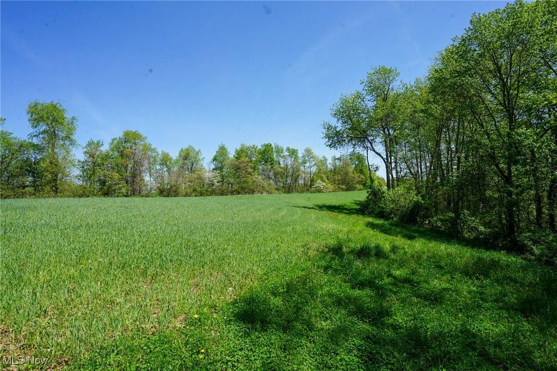 Philo, OH 43771,Sealover Hollow Rd