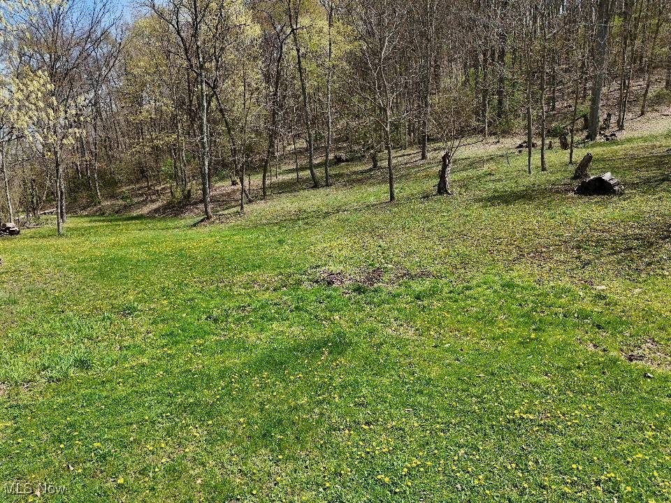 Bloomingdale, OH 43910,Cr-39
