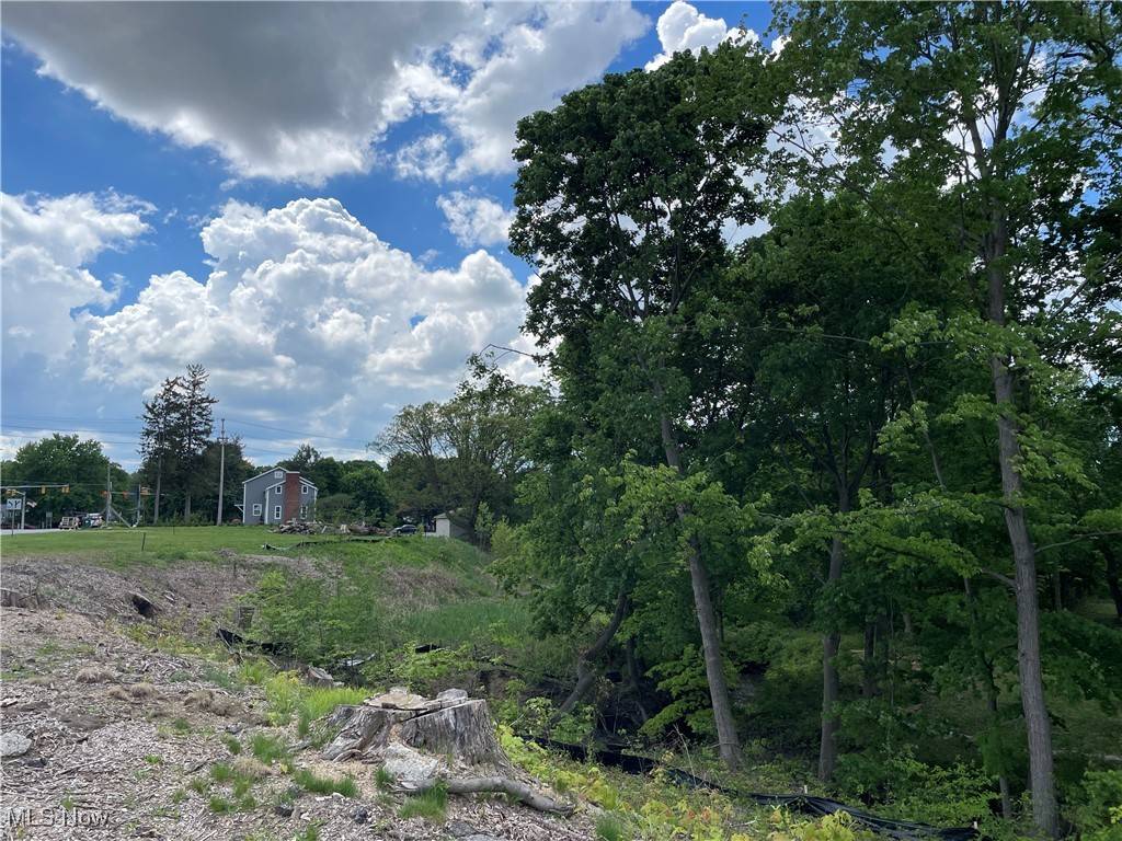 Mentor, OH 44060,9025 Jackson ST