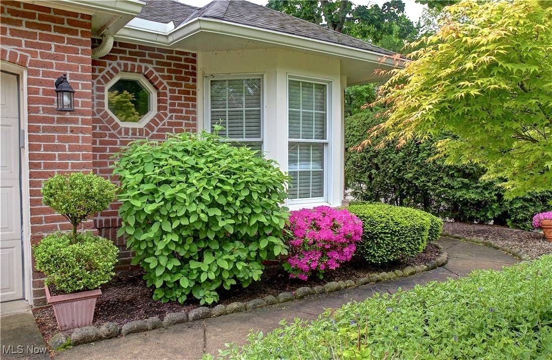 Avon Lake, OH 44012,401 Bounty WAY