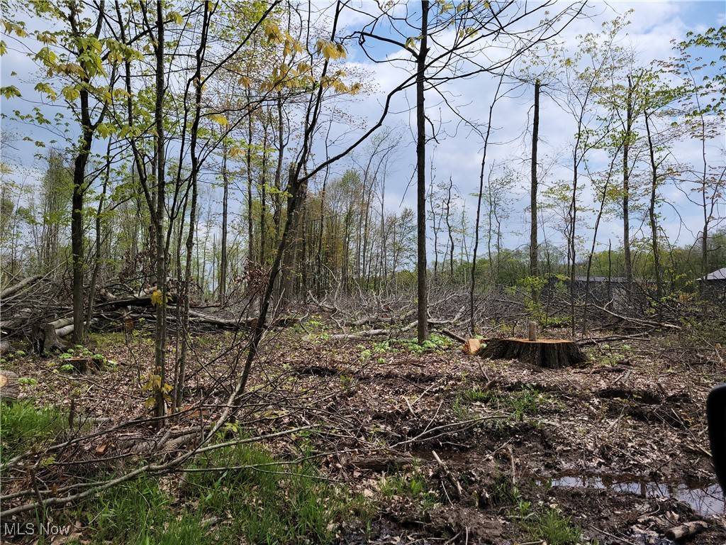 Randolph, OH 44201,3705 Alexander RD
