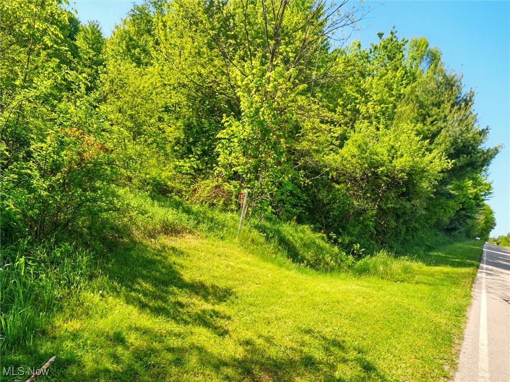 Rock Creek, OH 44084,Windsor Mechanicsville RD