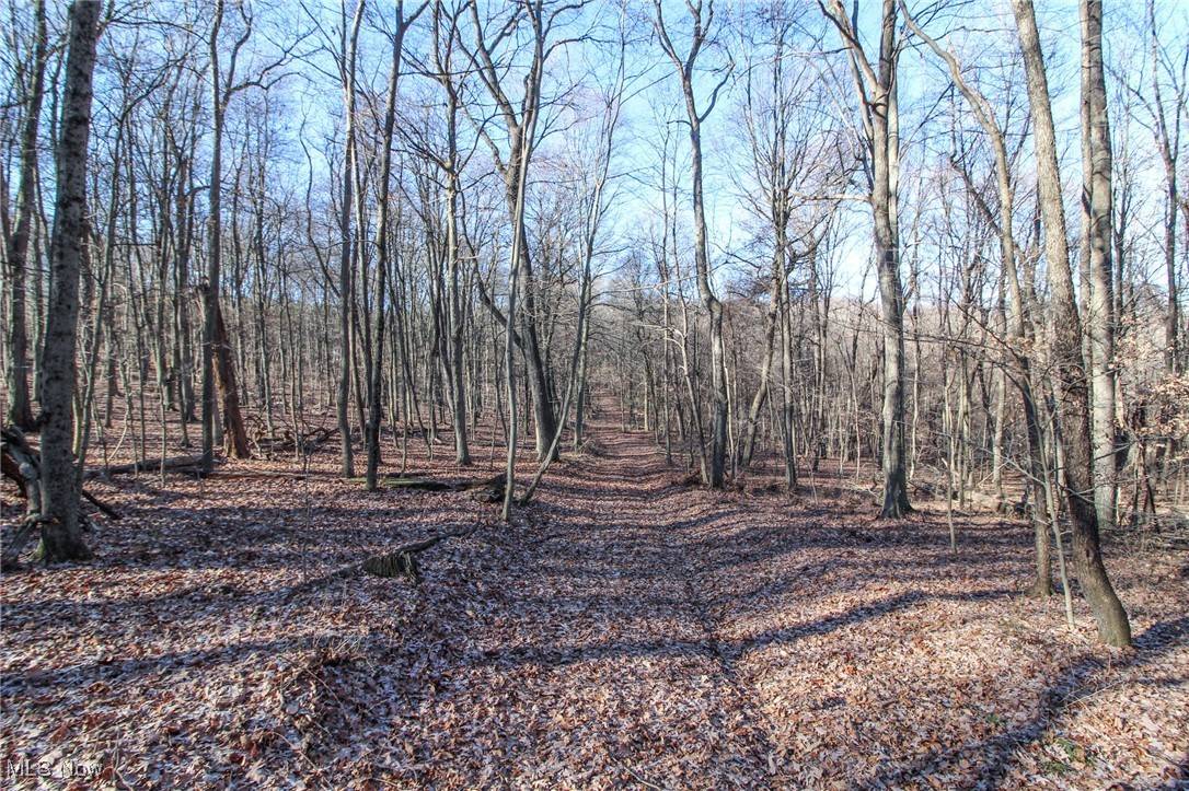 Newark, OH 43056,0 Pleasant Chapel RD SE