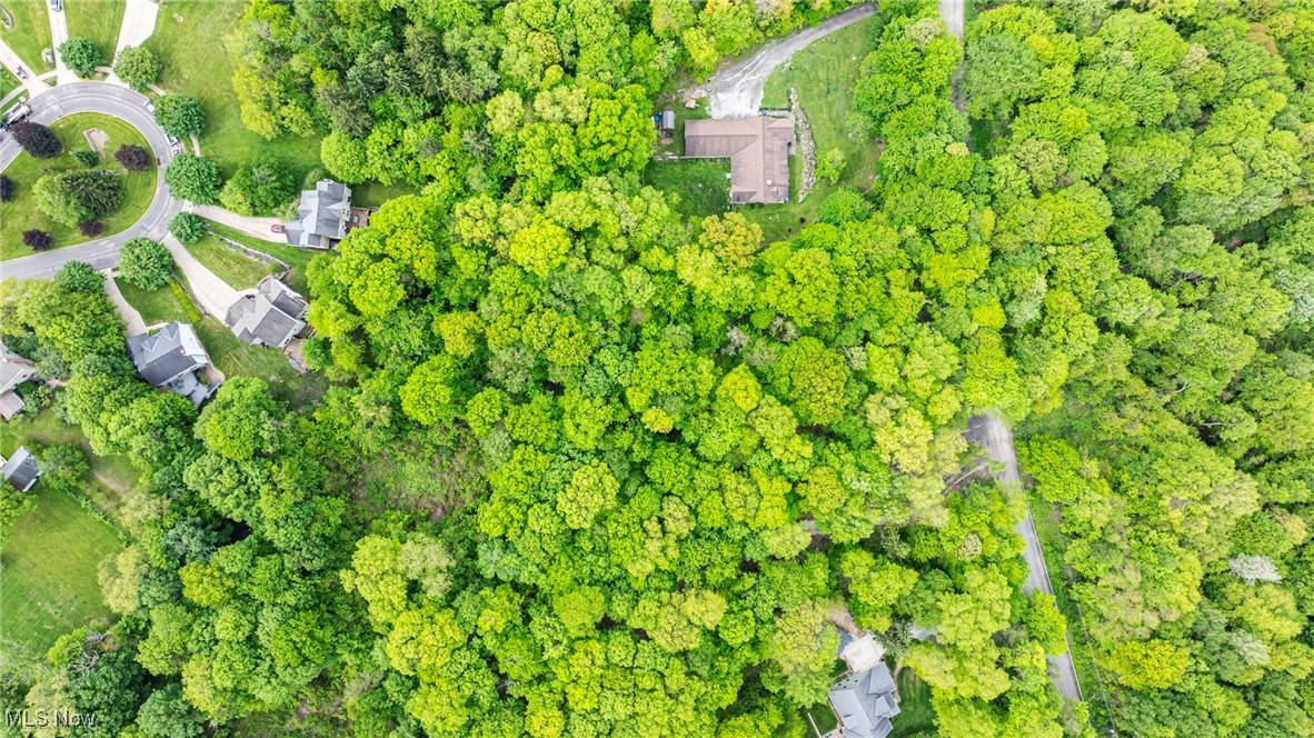 Burton, OH 44021,13561 Colony LN